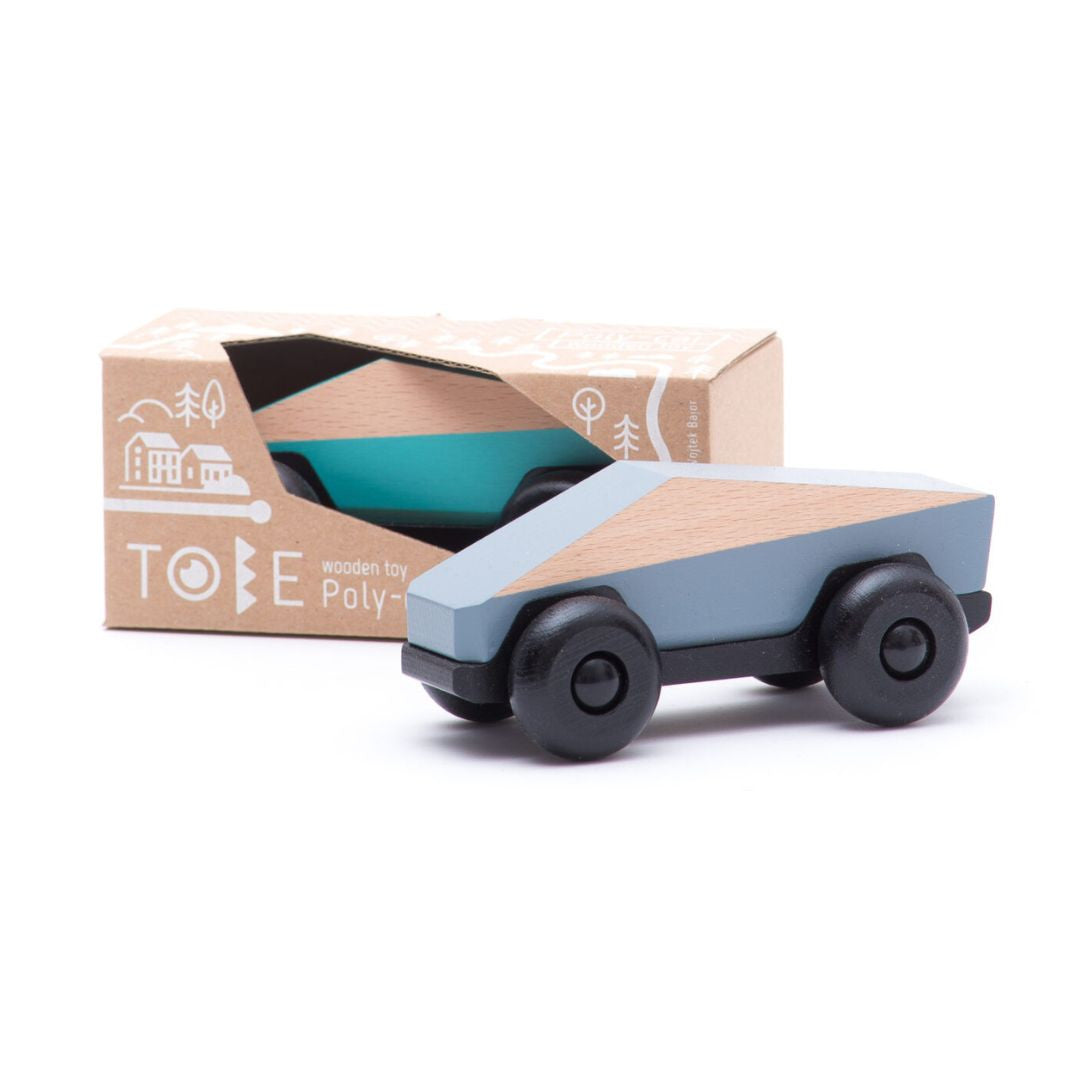 The Poly car of the future