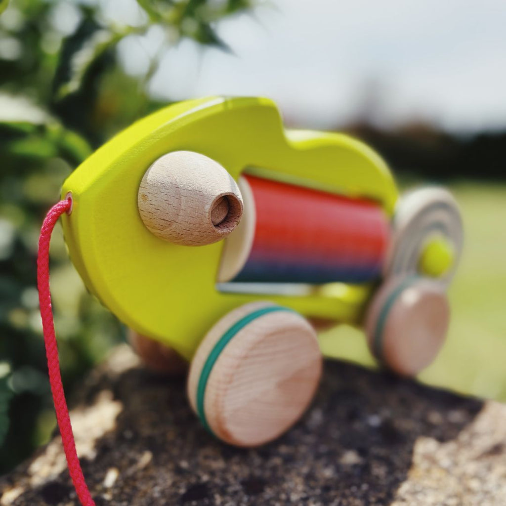 Chameleon on a string - rotating belly