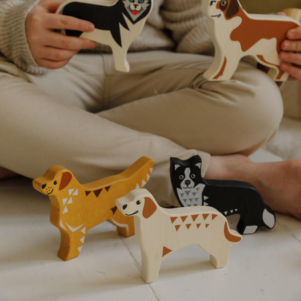 Serie Hunde - Border Collie