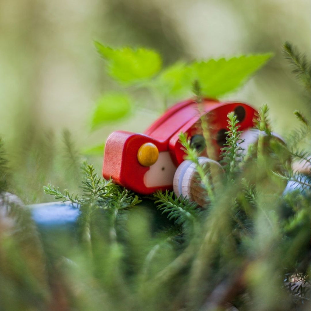Wooden ladybug with pull-back action