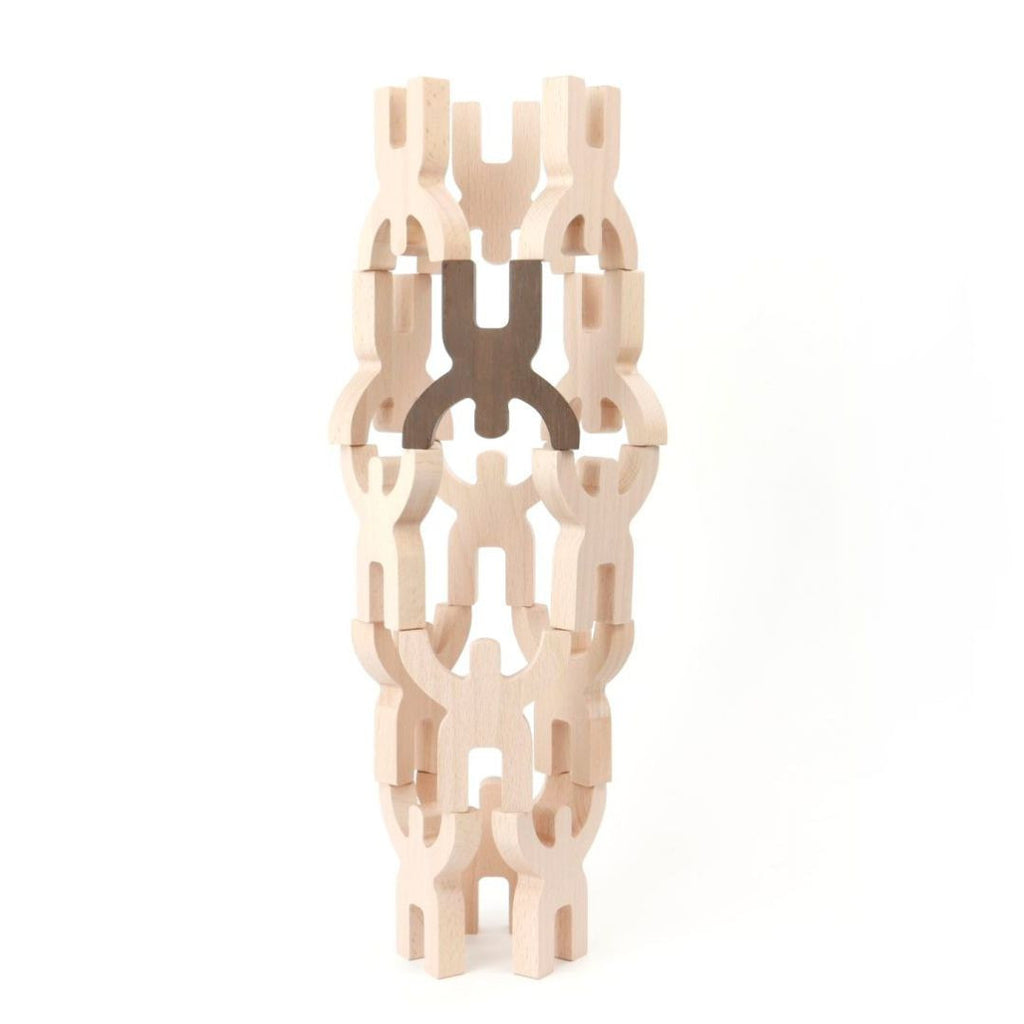 Mendelson's 15-piece puzzle