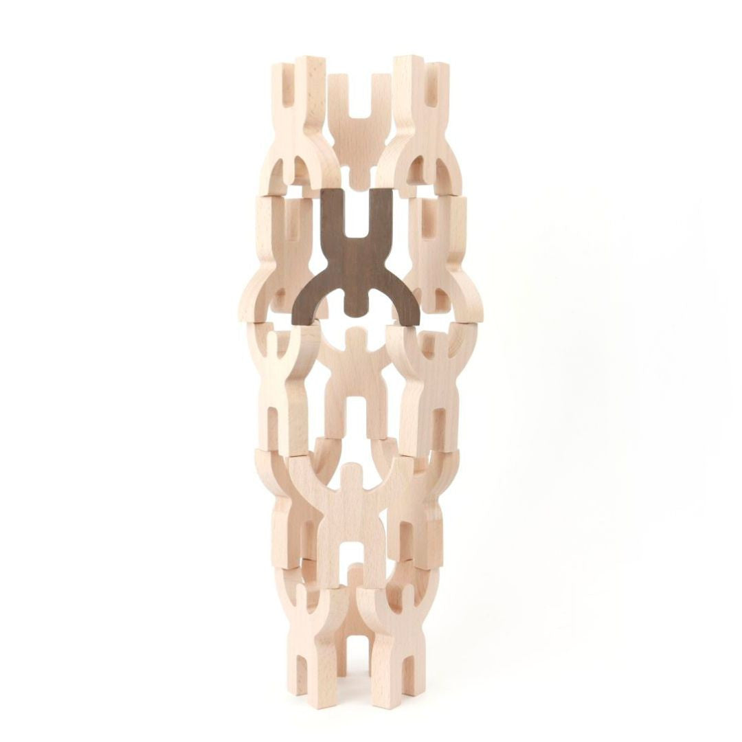 Mendelson's 15-piece puzzle
