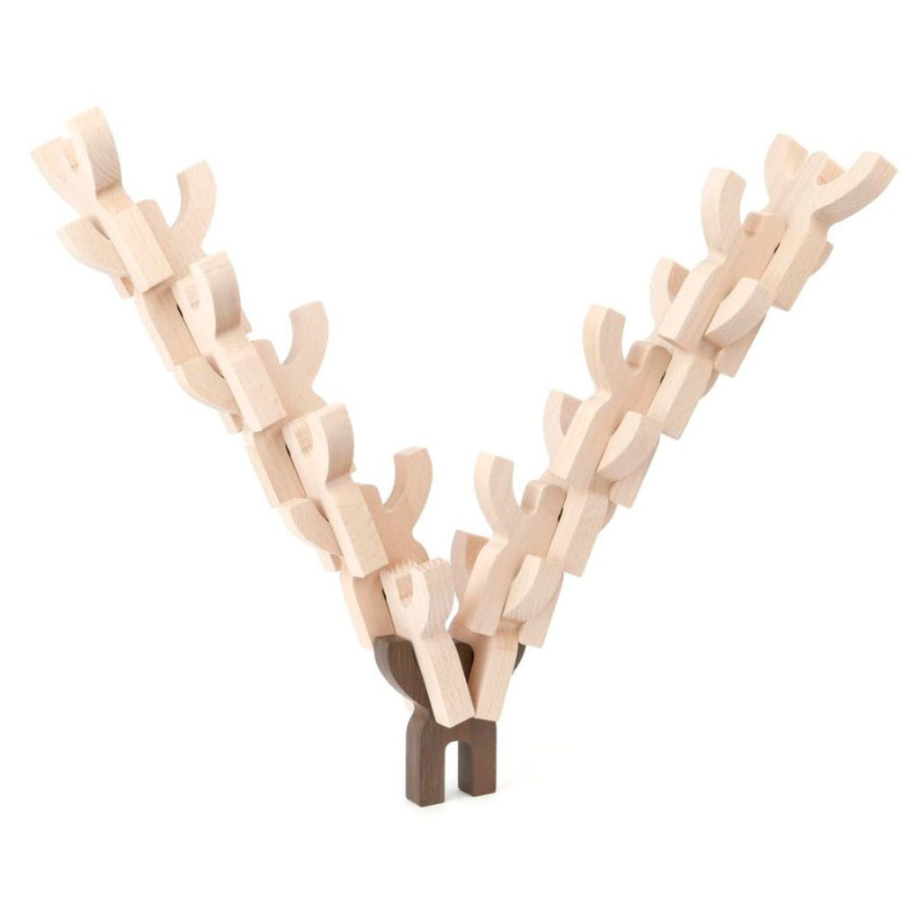 Mendelson's 15-piece puzzle