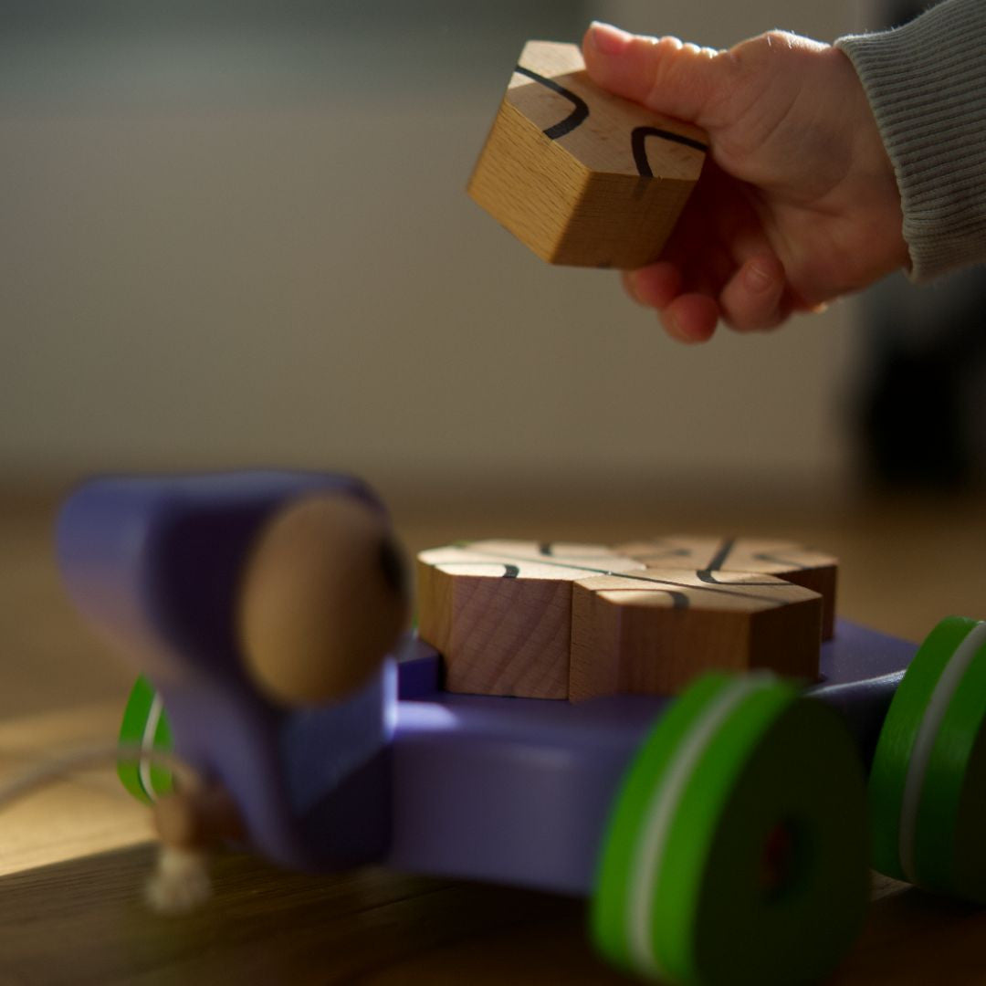 Wooden turtle on triangular wheels (bouncing, moving eyes)
